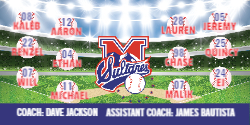 Baseball Sports Banner