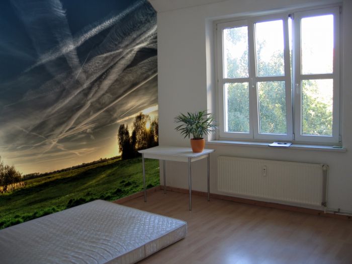 Large Format Decals - 6 mil Soft PVC Film 1