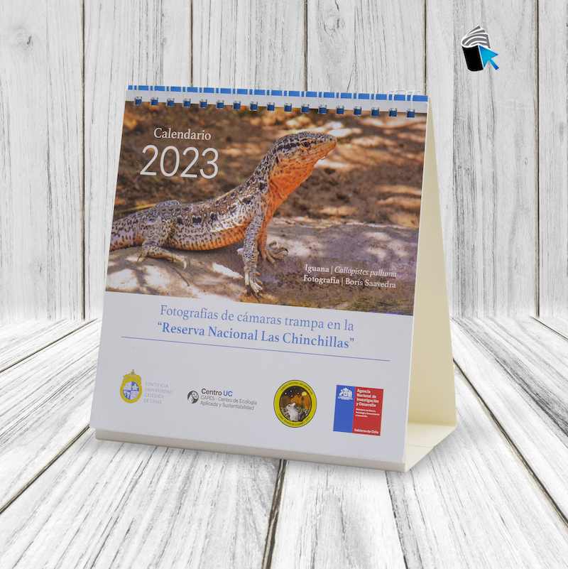 CALENDARIO ESCRITORIO - 7 o 13 LAMINAS 13