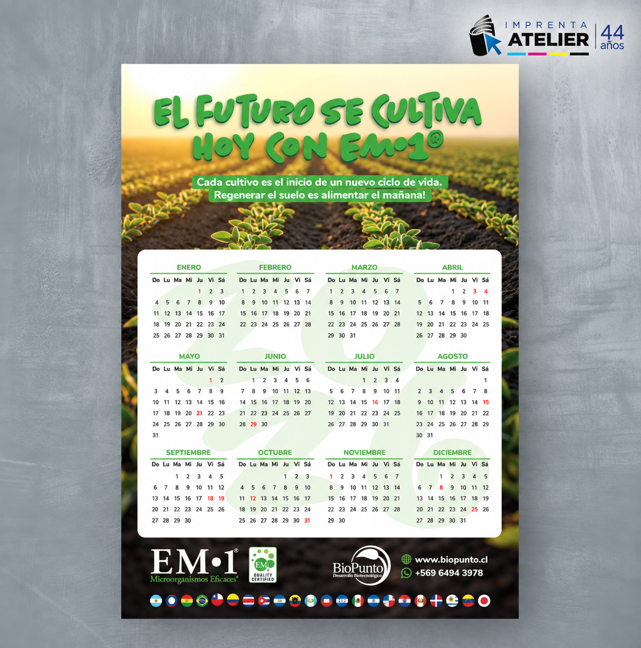 CALENDARIO MURAL 1 LAMINA