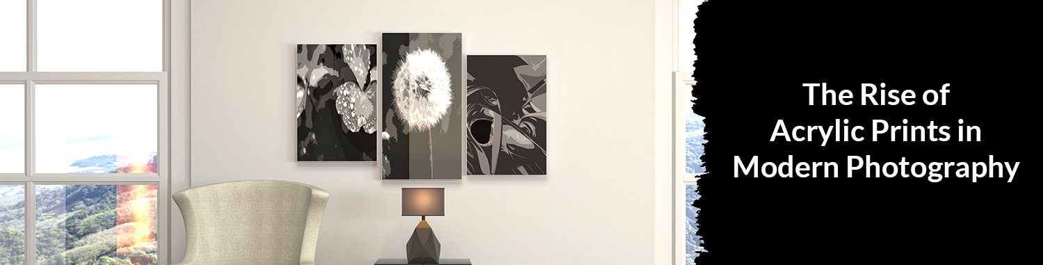 The Rise of Acrylic Prints in Modern Photography