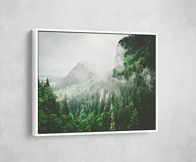 Acrylic Prints Floater Frame
