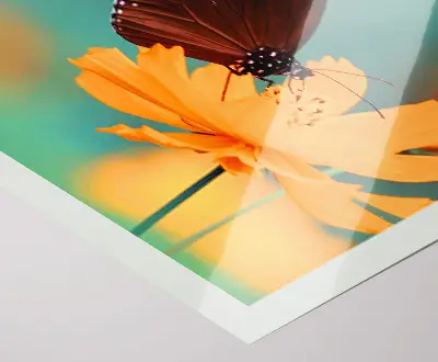 Digital Photo Prints Mettalic