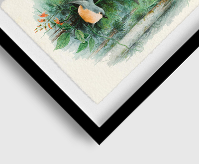 Raised Island Floating Frame Raised Island Floating Frame