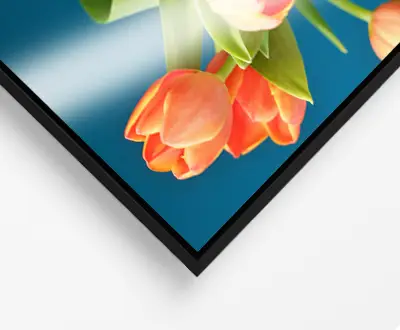 Photobook Acrylic Prints Floater Frame