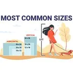 Common Sign Sizes
