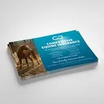Fast Business Cards