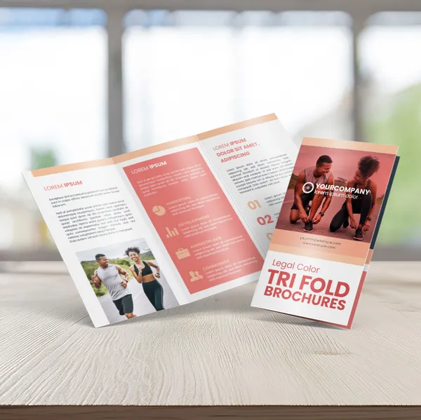14 x 8.5 Cheap Brochures