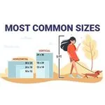 Common Sign Sizes