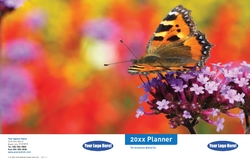 Cover 3