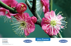 Cover 4