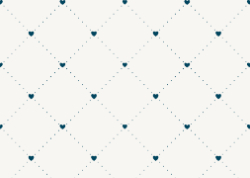 Birth Announcement Prince Back