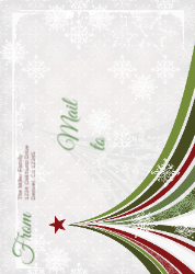 Merry Christmas- Happy New Year Back