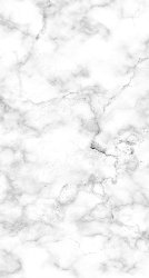 Graduation Announcement Layout 1 Back