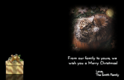 Christmas Fold Card 2 Inside