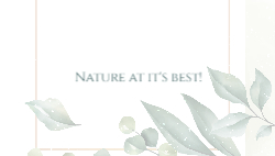 Business Card 7 Back