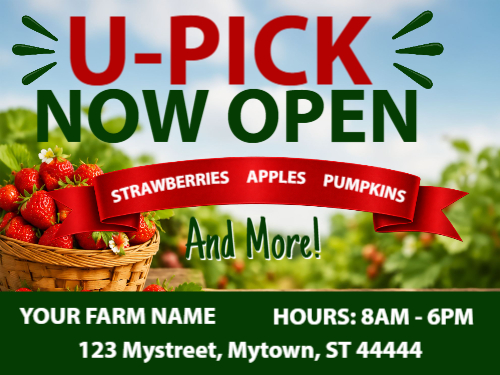 Strawberry Farms U-Pick Design