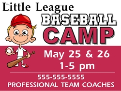 Baseball Fan