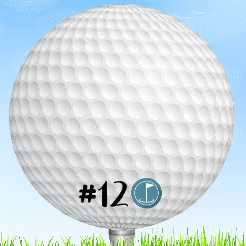 14x14 Golf Yard Sign Pkg | 18 Yard Signs, Stakes + Banner