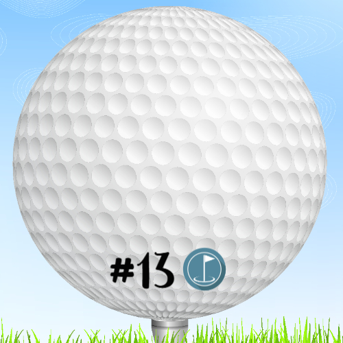 14x14 Golf Yard Sign Pkg | 18 Yard Signs, Stakes + Banner