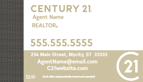 Century 21 Main Panel