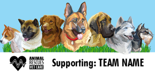 4x8 ft Sponsorship Banner