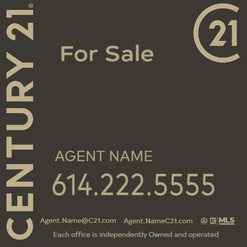 Century 21 Panel