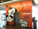 Wall Vinyl (2611) 1