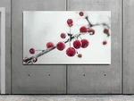 Dibond on Wall