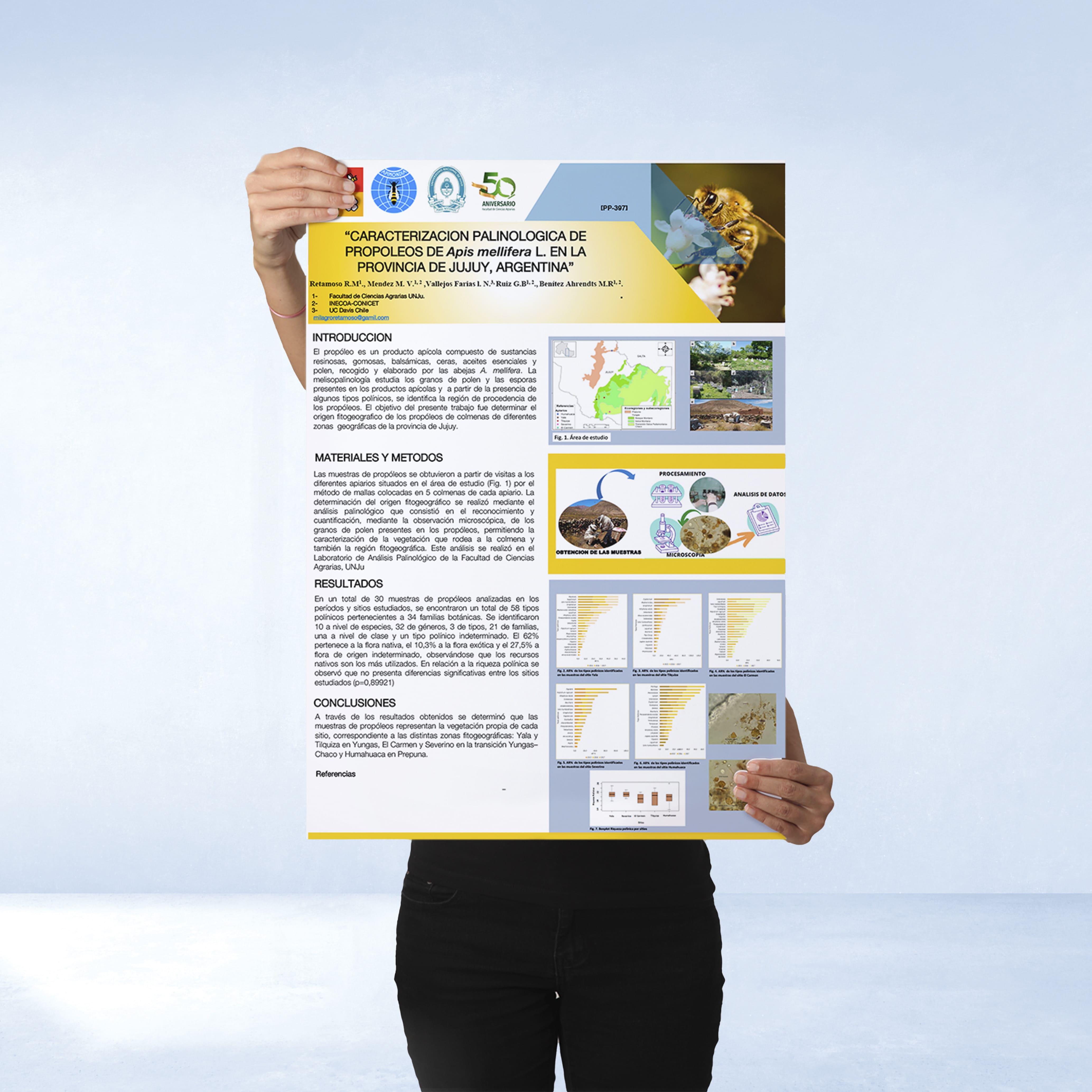 Afiche Congreso u presentación