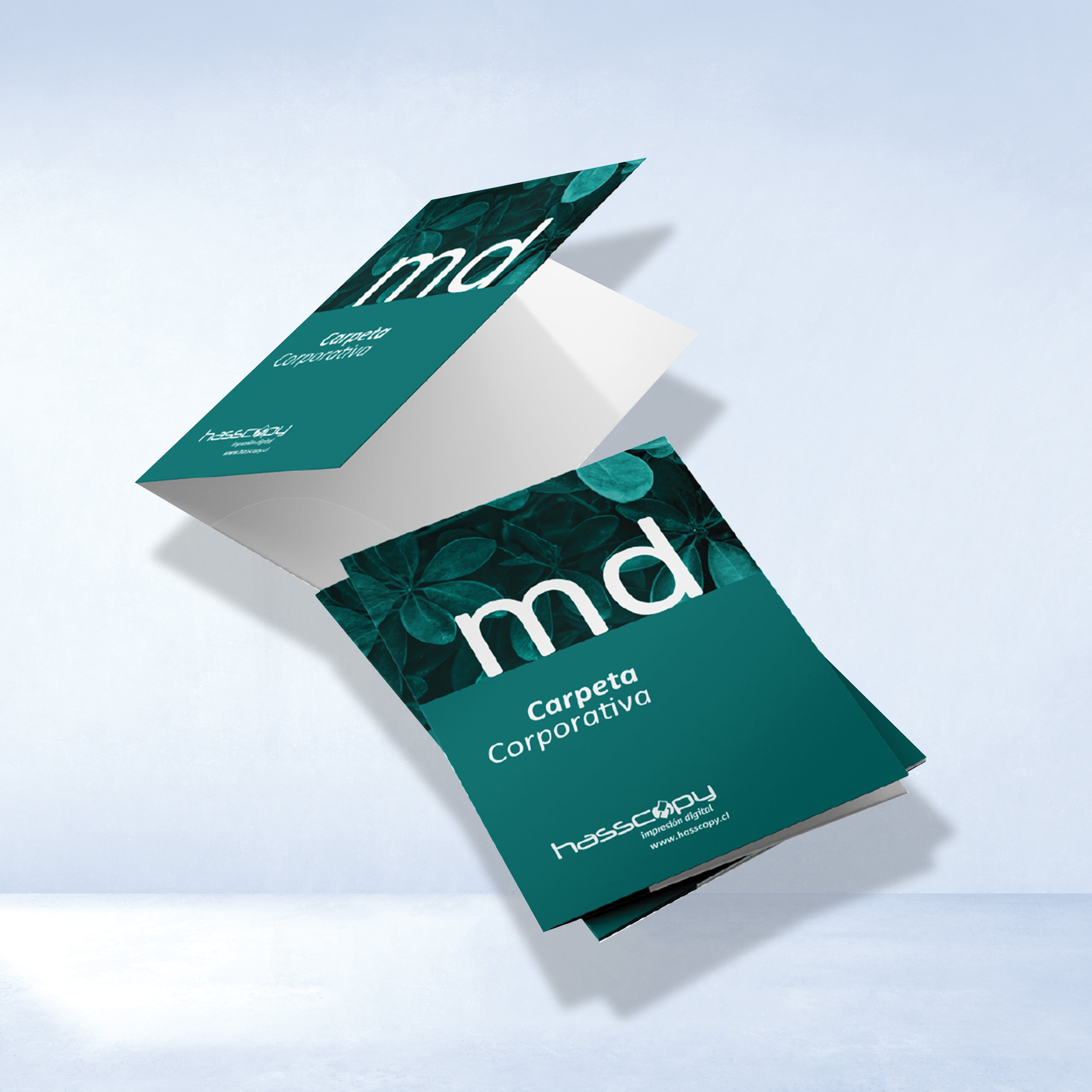Carpetas Corporativa Carpeta Corporativa