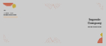 Template Creation for 'Full Color Envelopes (Custom Printed)' 2
