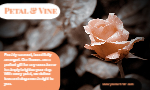 Painted EDGE Business Cards 5