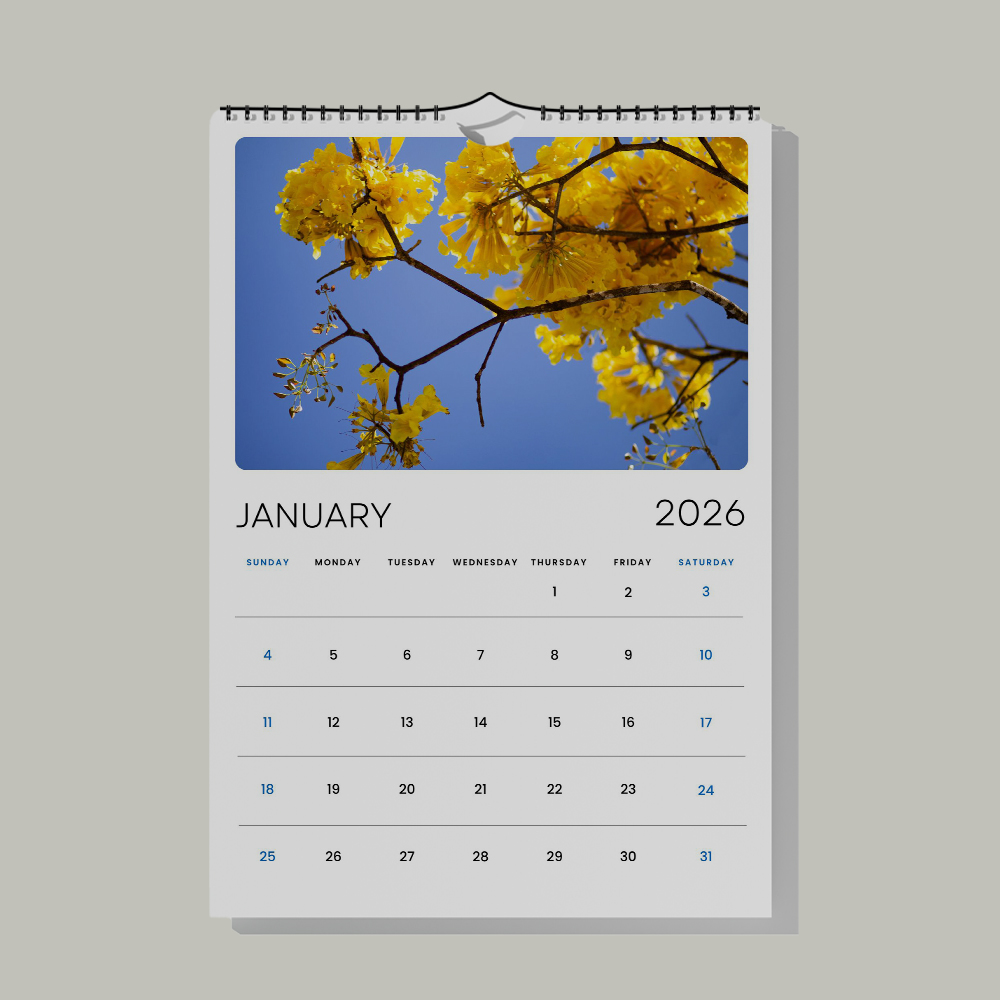 Calendars 1