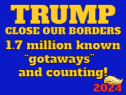 Vote 24x18 Trump Border  3
