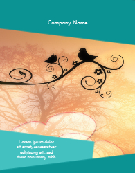 Wild Life Photography BB