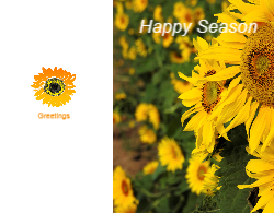 greeting-card-42 PEC