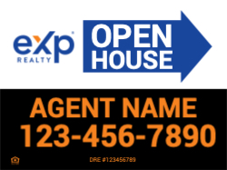 EXPR-A06