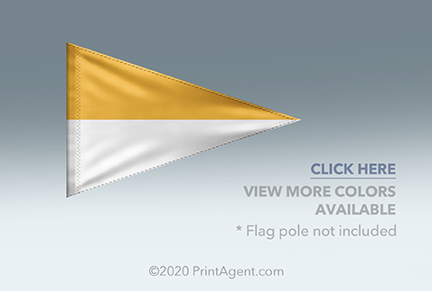 https://d2ngzhadqk6uhe.cloudfront.net/nationwid/images/product/2453_Nylon_Flags.jpg