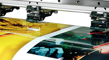Vinyl Color Printing