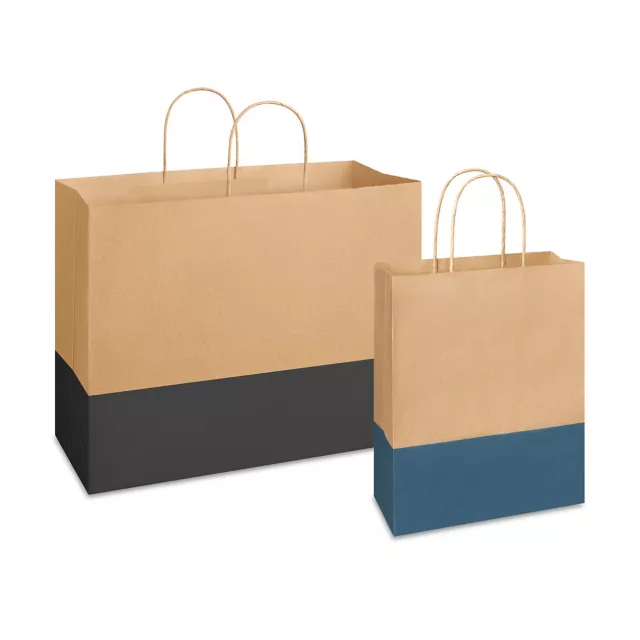 Same Day 2 Tone Paper Bag Printing