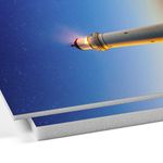 Gator board same day