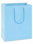 Light Blue Matte Laminate Bags
