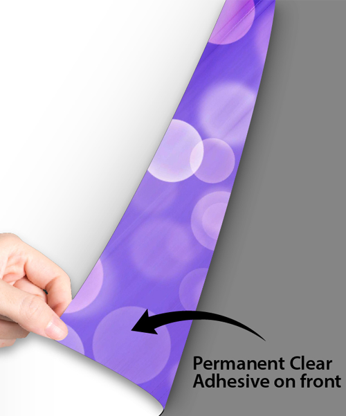Dual View Window Graphics