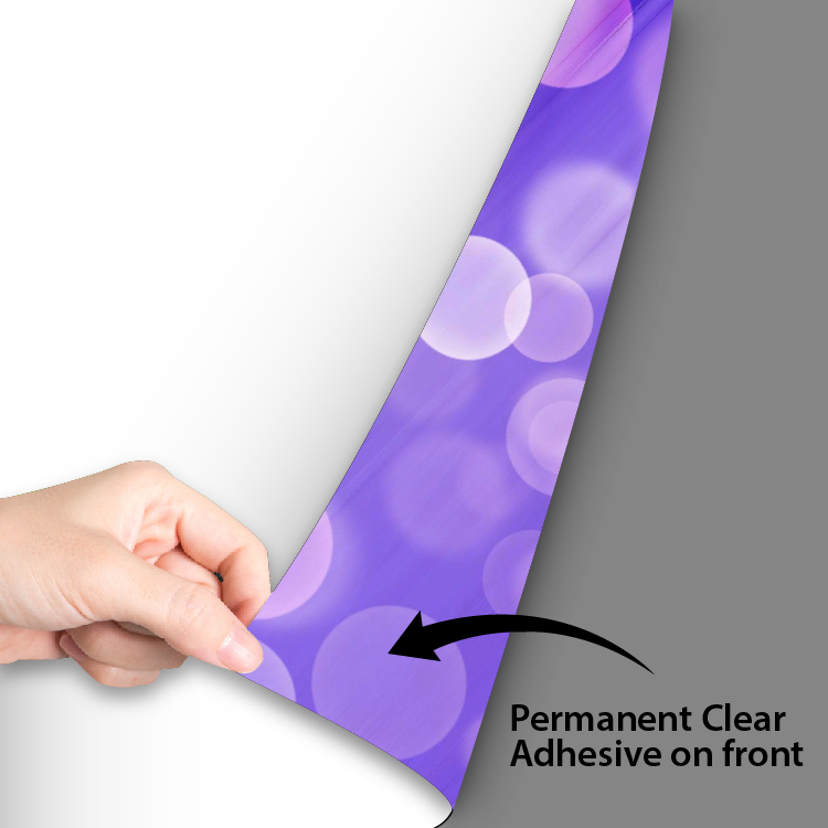 Dual View Window Graphics