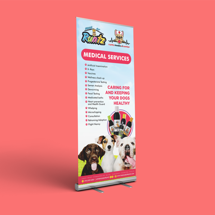 Retractable Banner Stands ( Economy )