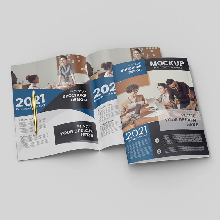 Custom Bi-Fold Brochure