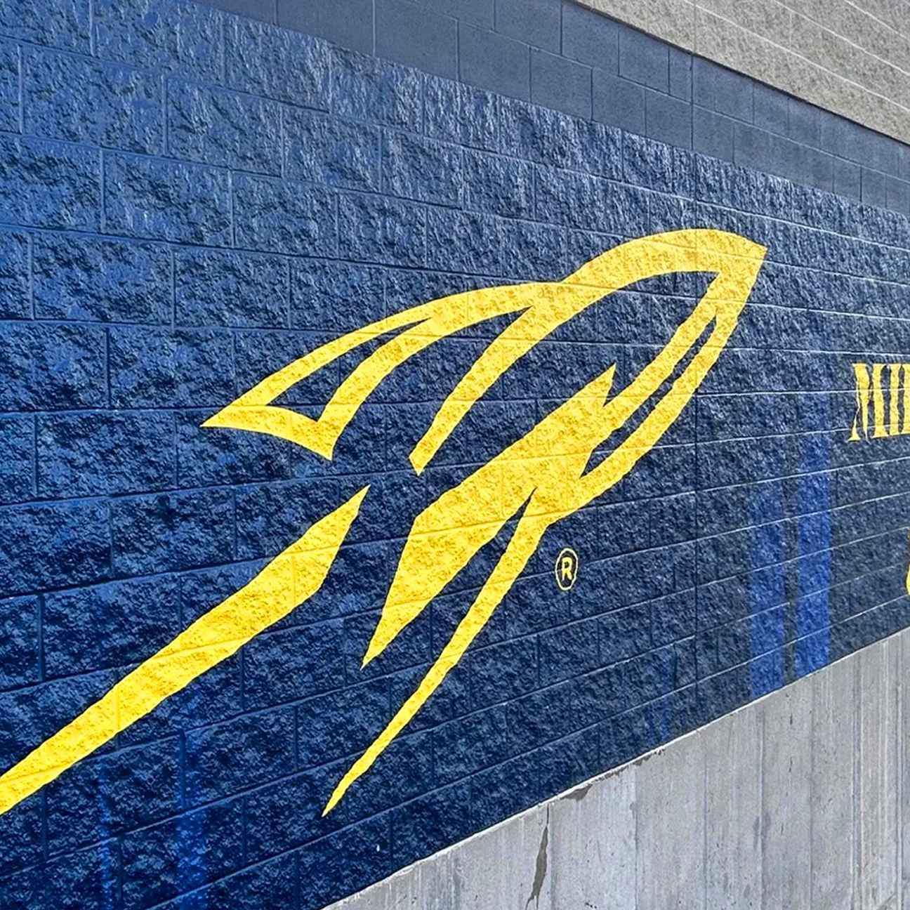 Wall Vinyl