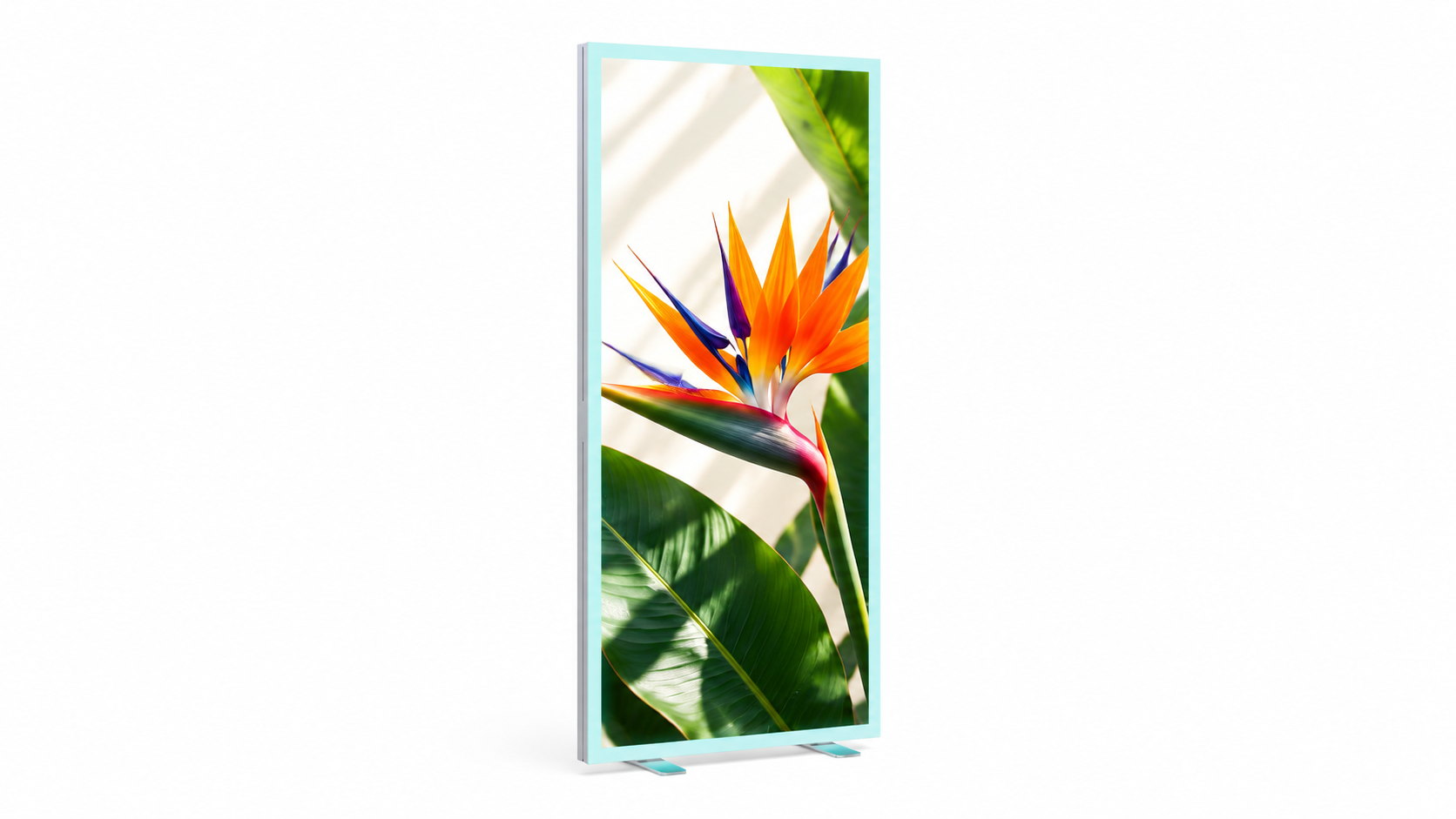 (016EM-22A-3.28ft) 3.28FT RGB Flash SEG Light Box Graphic Package