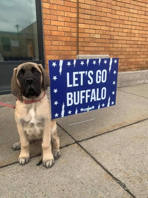 Lets Go Buffalo Sign